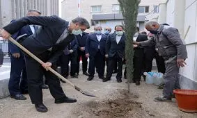 رویش دوباره سود از سهام بانک صادرات ایران

