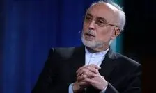 نیاز است تصمیم‌سازی‌ها و تصمیم‌گیری‌ها در کشور سریع و صائب باشد/ فرصت‌ها همچون ابر می‌گذرند/ اختیارات دولت و رئیس‌جمهور افزایش یابد