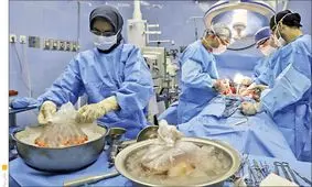 فوت روزانه ۷ تا ۱۰ نفر در کشور به علت نرسیدن عضو اهدایی