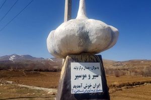 سیر همدان جهانی شد/ گام بعدی برندسازی