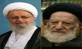 میزان زکات فطره از سوی آیات شبیری و مکارم شیرازی اعلام شد