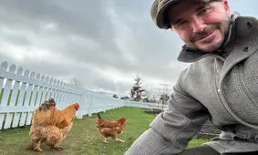 از شهرت و ثروت تا مزرعه داری؛ مسیر عجیب بعضی چهره های معروف/ ویدئو