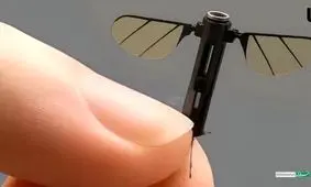 پهپاد پشه‌ ای: کوچکترین جاسوس دنیا