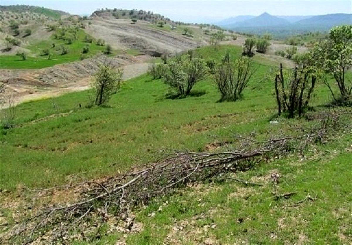 مزایده زمین در شمیران از متری ۴۰ تومان، شهریور ۱۳۴۱