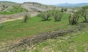 مزایده زمین در شمیران از متری ۴۰ تومان، شهریور ۱۳۴۱