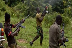 کشته شدن ‌ده‌ها نیجریه‌ای در حمله راهزنان

