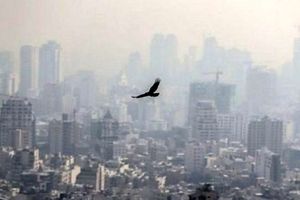 اقدامات اجرایی شده برای کاهش آلودگی هوا در فارس