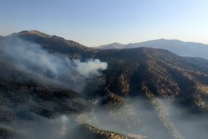 پارک ملی سالوک خراسان‌ شمالی دچار آتش‌ سوزی شد

