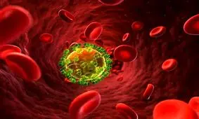 چطور سیستم ایمنی بدن را تقویت کنیم؟