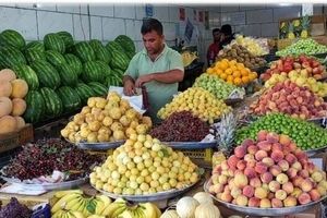 میوه ارزان می شود