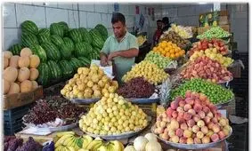  میوه ارزان می شود