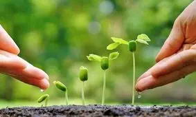 سهم محیط زیست از کل لایحه بودجه ۱۴۰۲ تنها «دو دهم» درصد