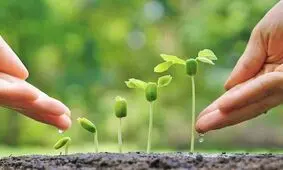 سهم محیط زیست از کل لایحه بودجه ۱۴۰۲ تنها «دو دهم» درصد