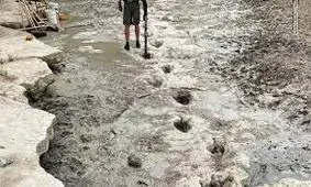 خشکسالی در تگزاس باعث کشف ردپای دایناسور ۱۱۳ میلیون ساله شد