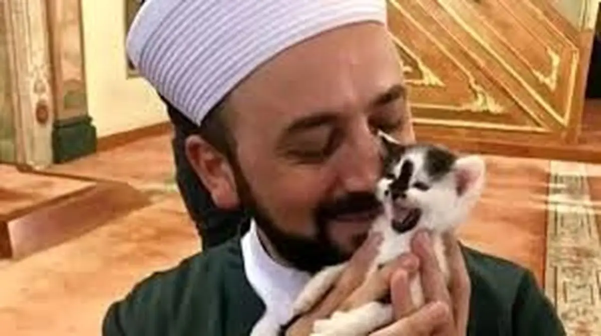 گربه مهمان ناخوانده اذان در یک مسجد/ ویدئو