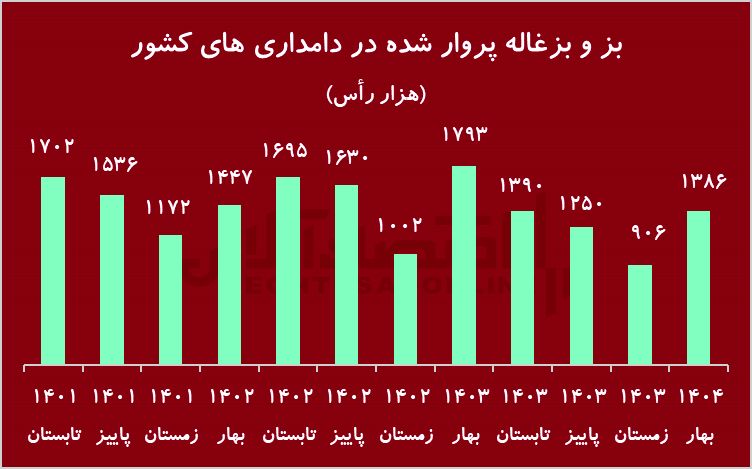 زنگ خطر کاهش شدید دام پرواری/ گوشت قرمز کمیاب می‌شود؟