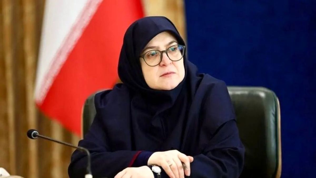 مهاجرانی: برنامه دولت لزوما گران کردن بنزین نیست، مدیریت سوخت است