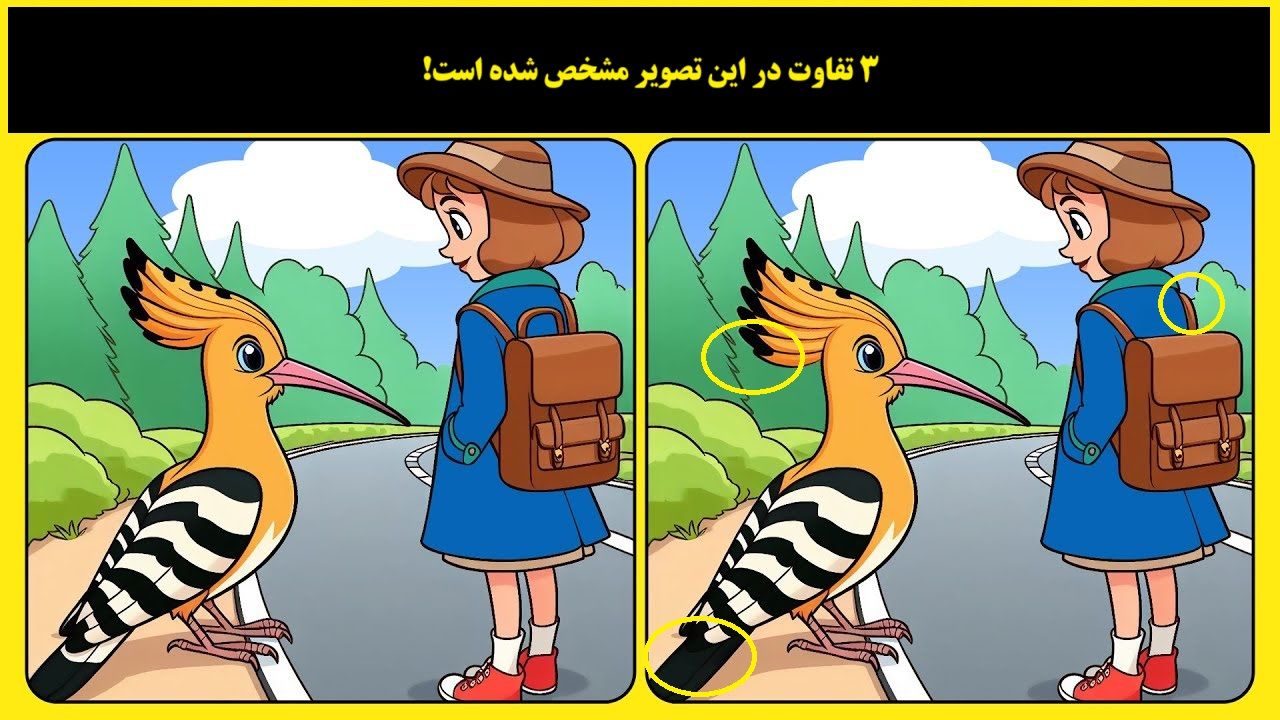 پاسخ تفاوت تصویری دختر و شانه به سر