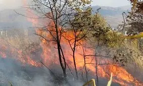 آتش‌سوزی گسترده در پارک ملی گلستان؛ درخواست بالگرد آبپاش و اعزام ۲۵۰ نیروی جدید