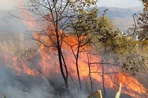 آتش‌سوزی گسترده در پارک ملی گلستان؛ درخواست بالگرد آبپاش و اعزام ۲۵۰ نیروی جدید