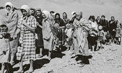 ناگفته‌ای تاریخی؛ وقتی ایران، جانِ اروپا را نجات داد