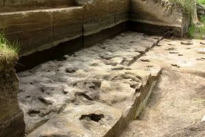  قدیمی‌ ترین رد پای انسان در آلمان کشف شد