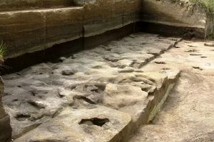  قدیمی‌ ترین رد پای انسان در آلمان کشف شد