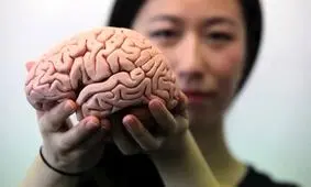 شش راهکار ساده برای تقویت حافظه و سلامت مغز