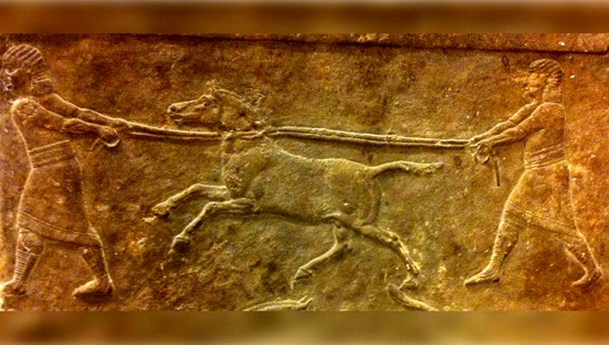 کشف قدیمیترین تغییر ژنتیکی حیوانات توسط بشر