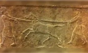 کشف قدیمی‌ترین تغییر ژنتیکی حیوانات توسط بشر