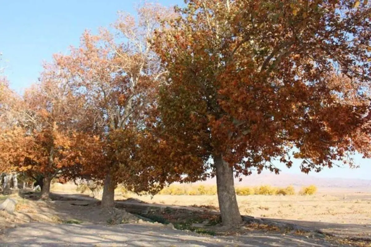 پاییز تهران خشک‌تر از تابستان خواهد بود/ بارش‌های مهرماه به یک میلی‌متر هم نرسید
