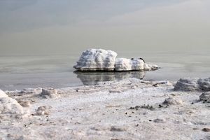 «سیب» و «انگور»؛ قاتل جان دریاچه ارومیه/ نقش مسئولان در سیاست های کشاورزی کجاست؟
