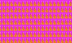 تست بینایی/ آیا می توانید 3 خرگوش متفاوت را تشخیص دهید؟