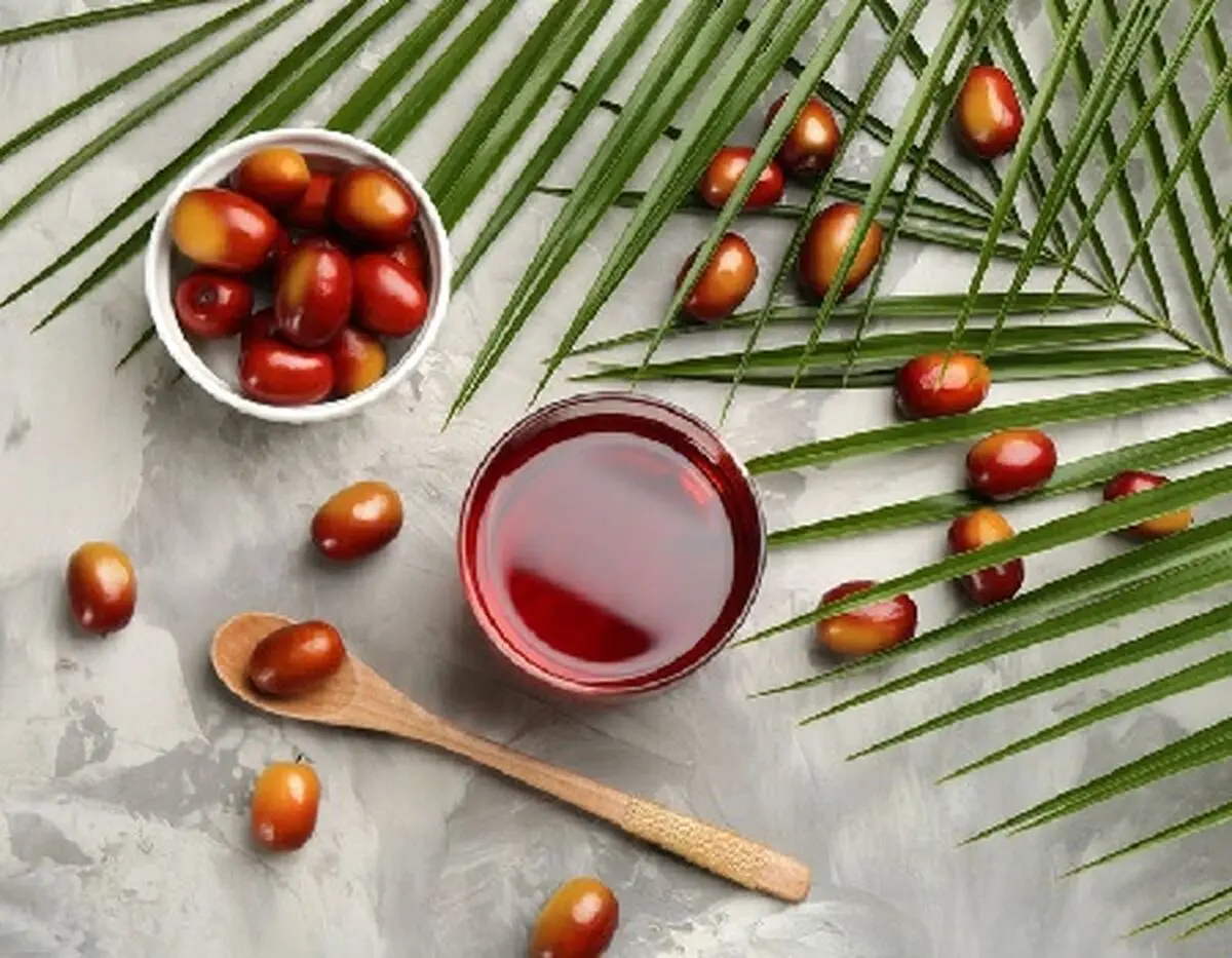 روغن پالم، راهی برای داشتن موهایی نرم
