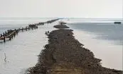 ۷۰ درصد هورالعظیم خشک است