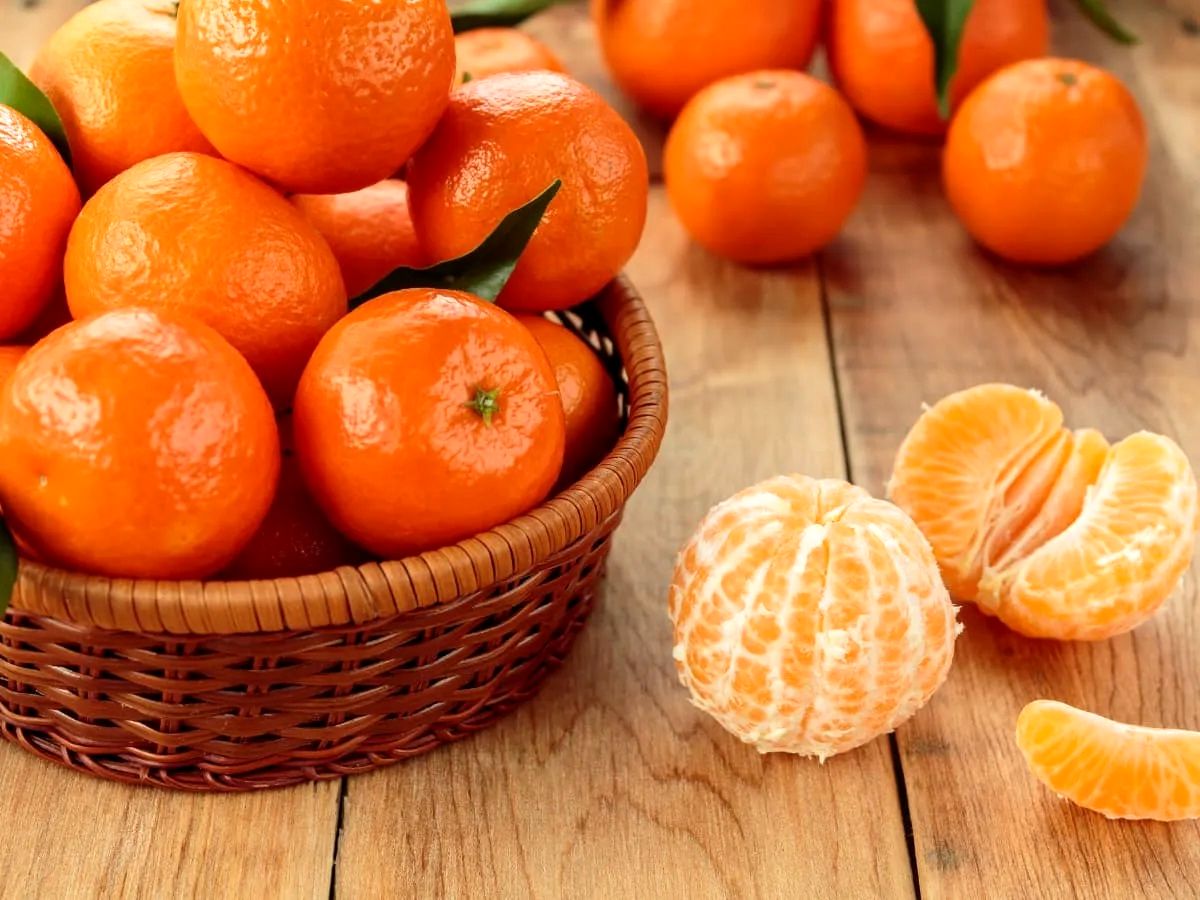 خواص بینظیر نارنگی یافا در پیشگیری از بیماریها