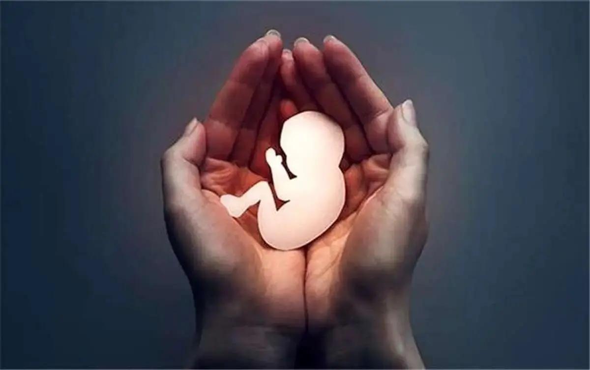 ادعای عجیب مسئول وزارت بهداشت درباره سقط جنین؛ ۱۰۰۰ سقط در روز؟
