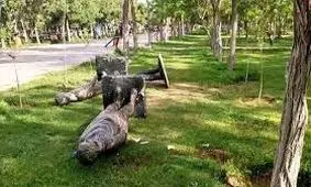 مرگ هولناک کودک 11 ساله در سقوط مجسمه بزرگ روی سرش در پارک