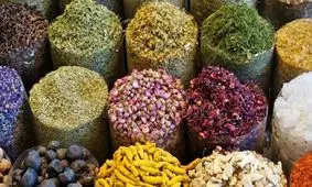 چرا سردرد می گیریم؟/ مبتلایان به میگرن بخوانند/ نسخه طب سنتی برای درمان سردردهای میگرنی