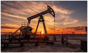 قیمت نفت افزایش یافت