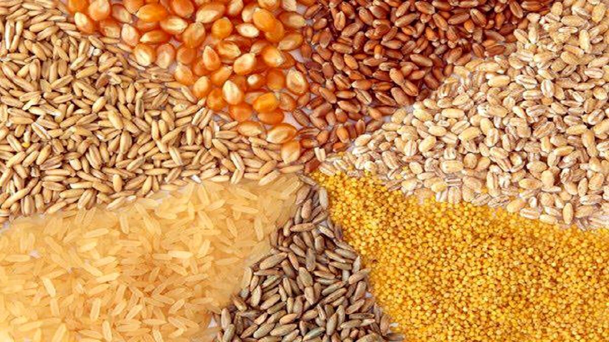افزایش ۲۰ درصدی واردات نهادههای دامی
