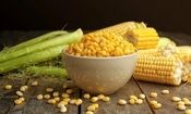 خواص شگفت انگیز ذرت برای سلامتی