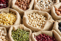 چرا حبوبات گران شد؟