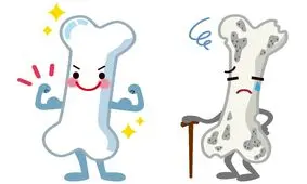 با مصرف این دانه استخوان خود را تقویت کنید

