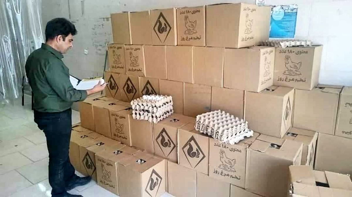 ۲ تن تخم مرغ فاقد مجوز در بوکان ضبط شد