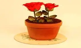 آموزش پخت کیک به شکل گلدان/ ویدئو