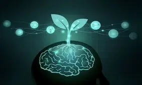 آیا تحصیلات در ابتلا به زوال عقل تاثیر دارد؟

