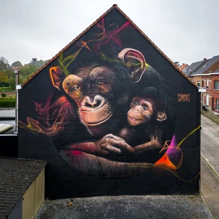 A-Glimpse-of-Humanity-by-SMOK-in-Ronse-Belgium-1