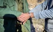 دستگیری ۲ شکارچی پرندگان وحشی در نهبندان
