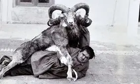  سفر به عصر قاجار؛ از «ایرانی، زن ناصرالدین شاه» تا «خدمتکارهای شکارنگه‌دار مظفرالدین شاه»